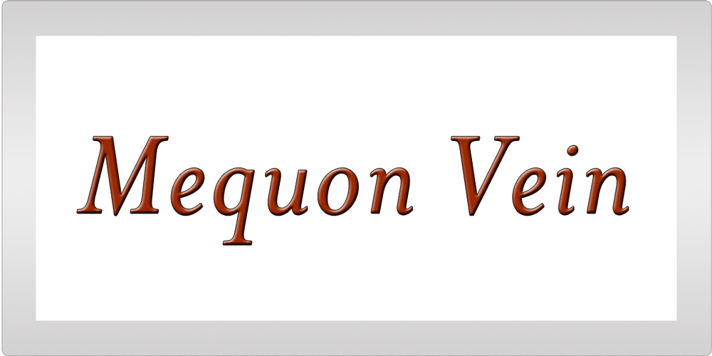 Mequon Vein Testimonial